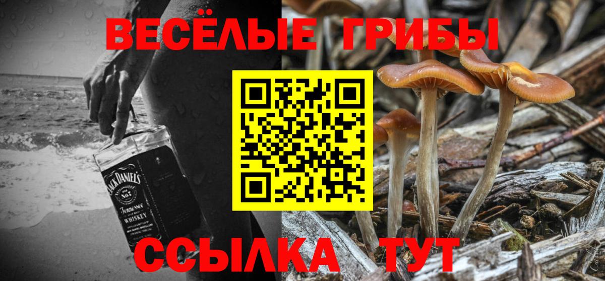 Псилоцибиновые грибы Magic Shrooms  Вход с VPN  Ачхой-Мартан 